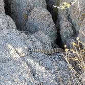 Review photo of Jumbo Rocks Campground — Joshua Tree National Park by David C., October 12, 2017