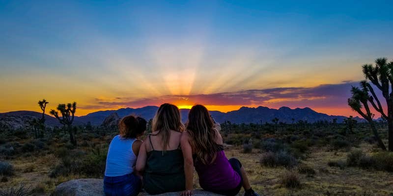 Camper submitted image from Jumbo Rocks Campground — Joshua Tree National Park