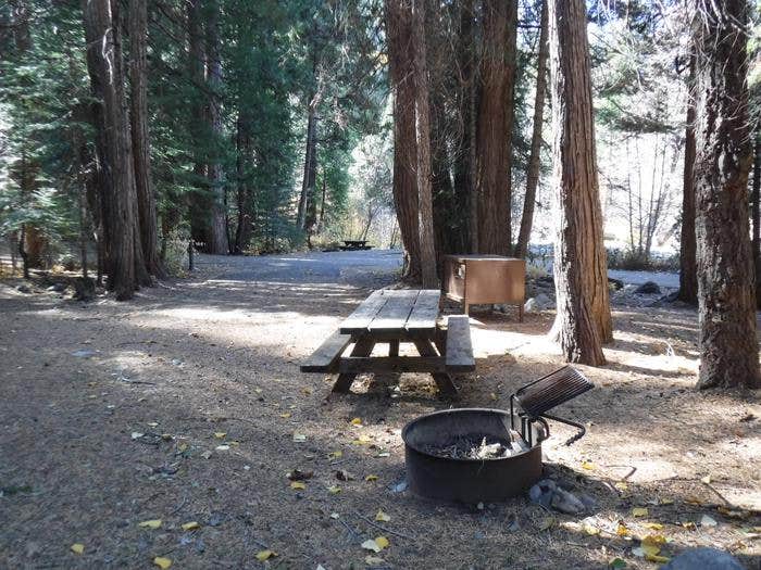 Camper submitted image from Tahoe National Forest Wild Plum Campground - 3