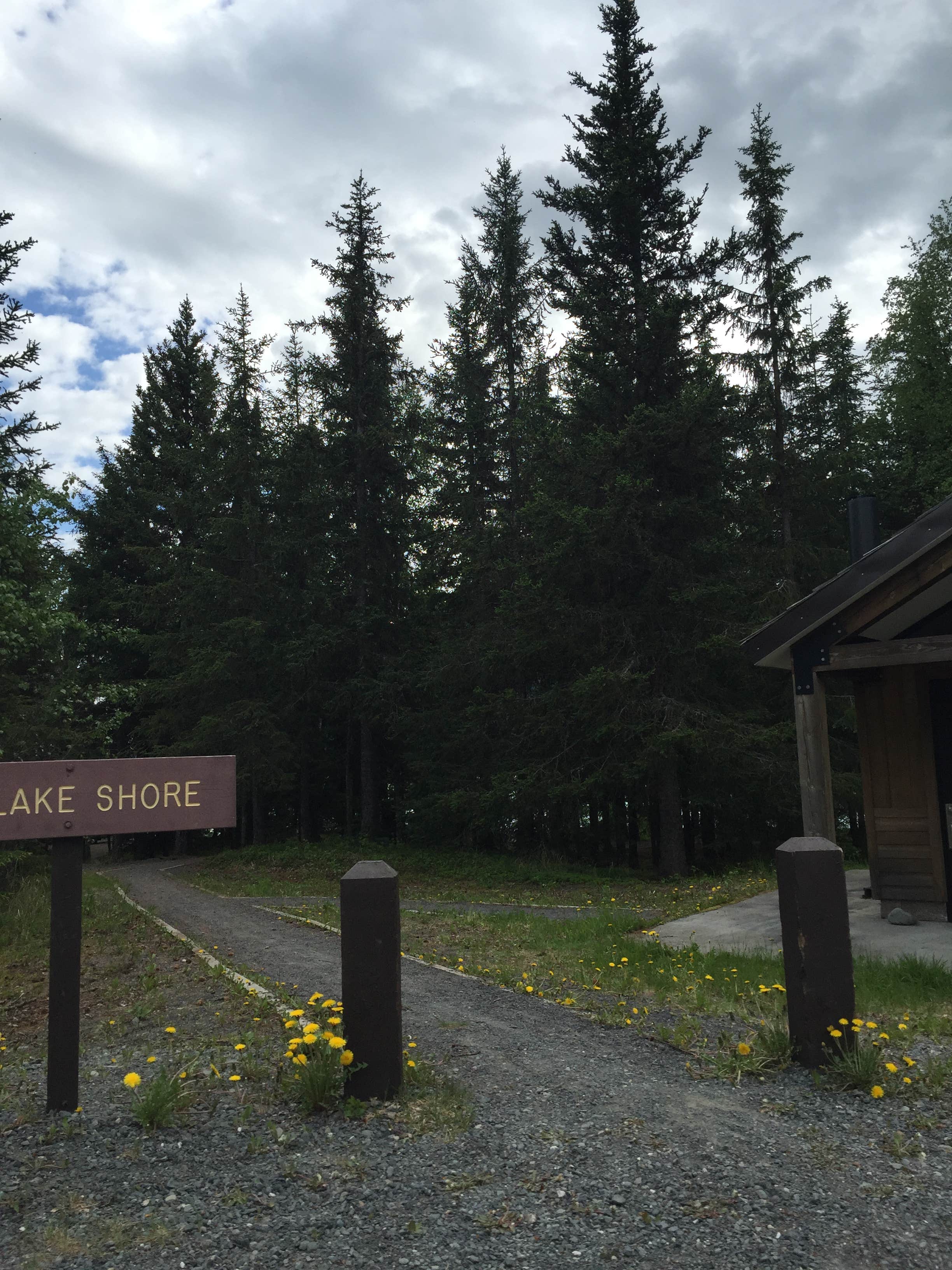 Camper submitted image from Trail River - 4