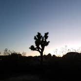 Review photo of Jumbo Rocks Campground — Joshua Tree National Park by David C., October 12, 2017