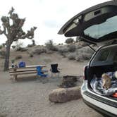 Review photo of Jumbo Rocks Campground — Joshua Tree National Park by David C., October 12, 2017