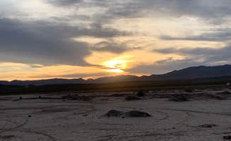Shalynn S.'s photo of a dispersed camping area at Dispersed-jean/roach Dry Lakes near Nipton, CA