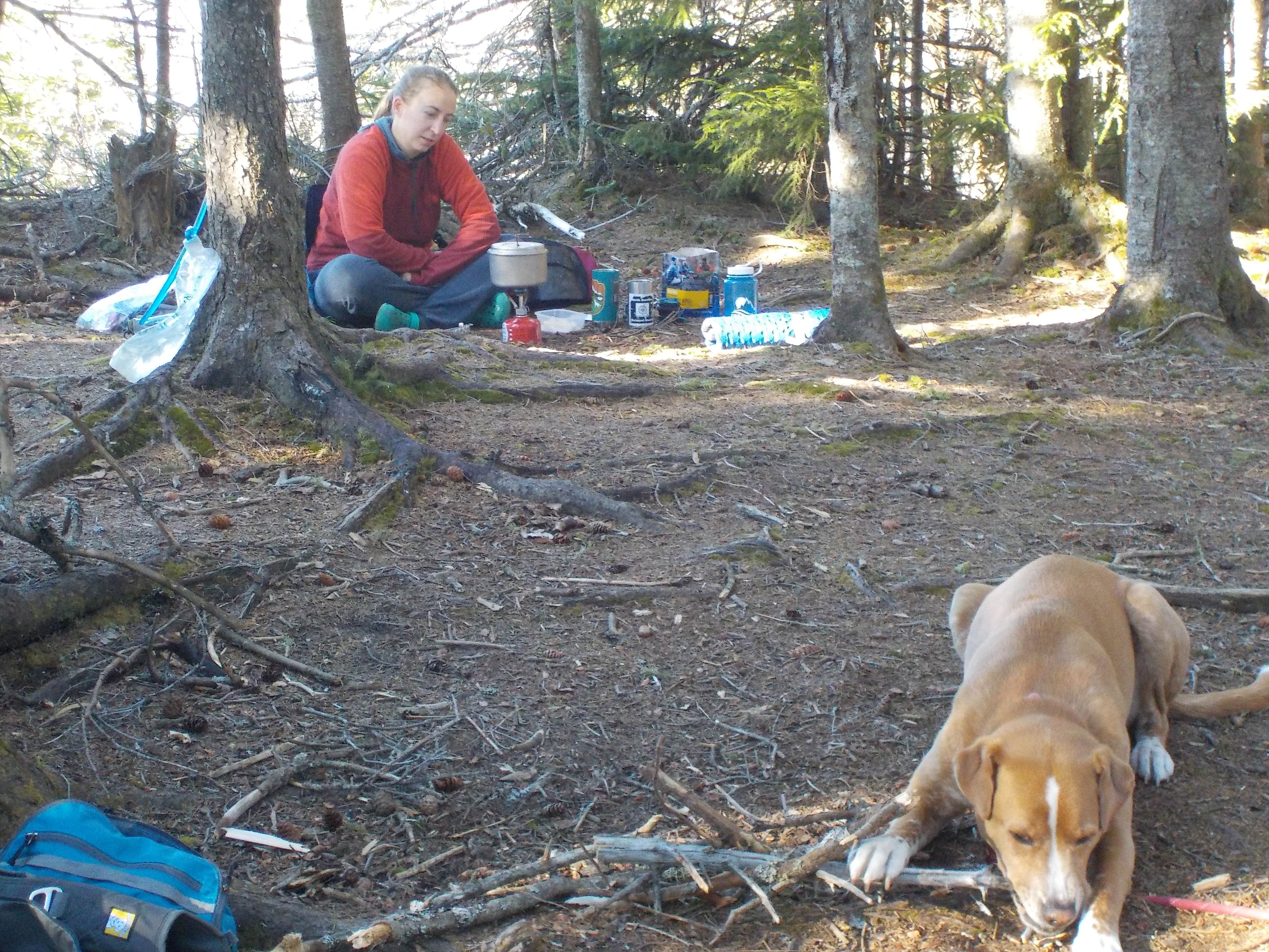 Sarah C.'s photo of camping with pets at Rogers Ledge near Lincoln, NH