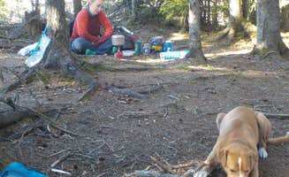 Sarah C.'s photo at Rogers Ledge near Campton, NH