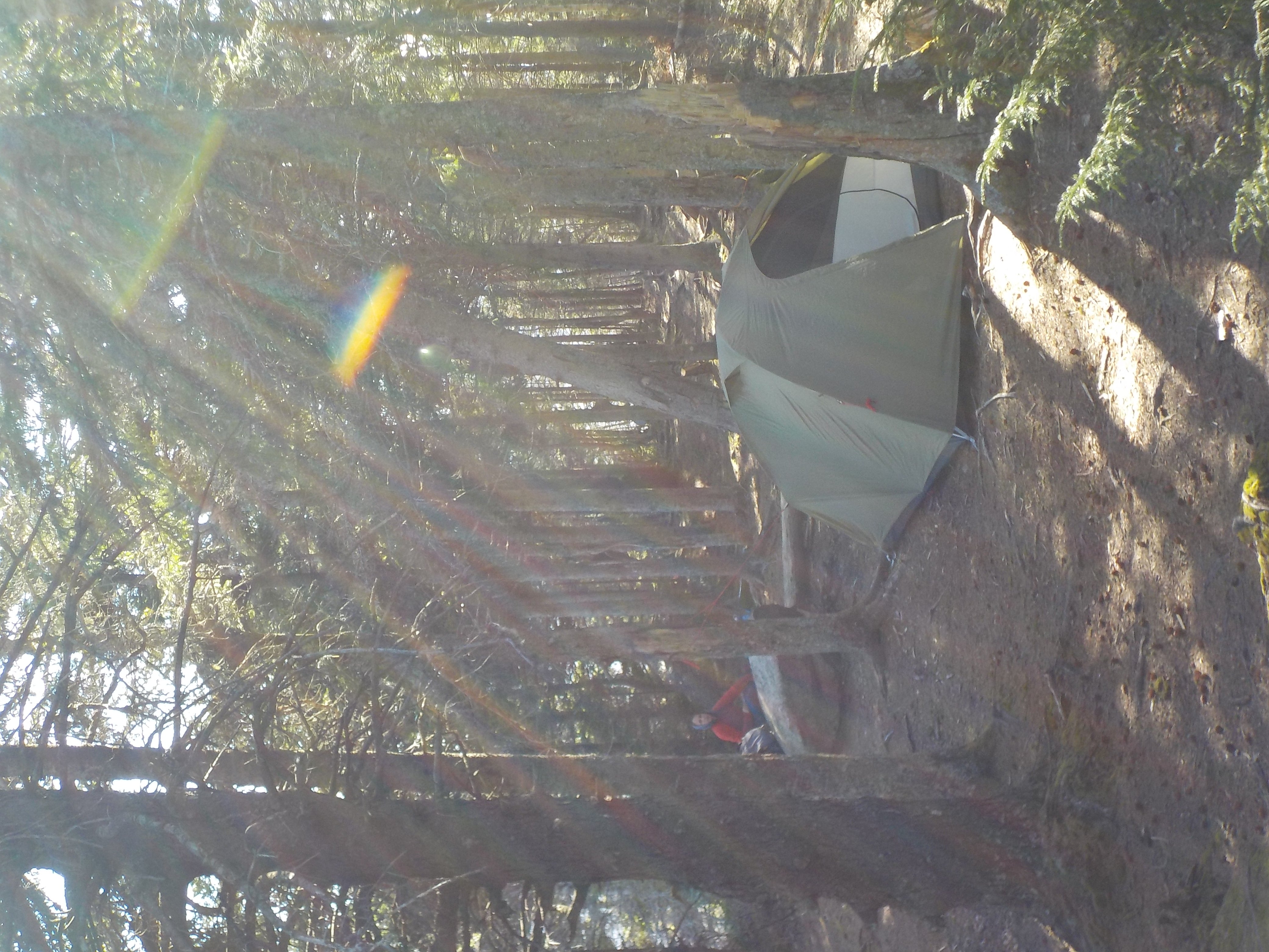 Camper submitted image from Rogers Ledge - 4