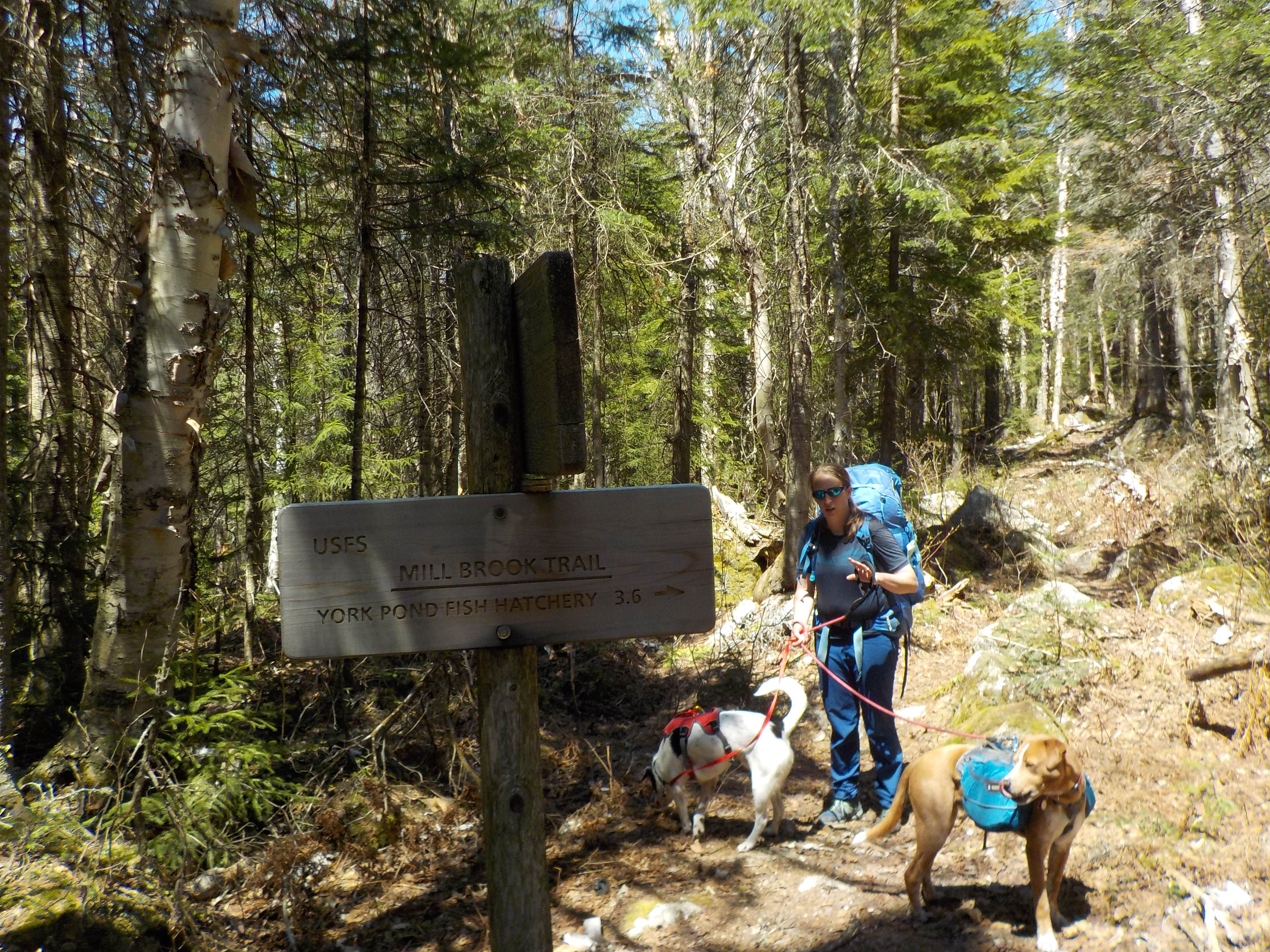 Camper-submitted photo at Rogers Ledge near Benton, NH