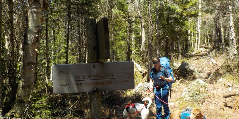 Camper submitted image from Rogers Ledge