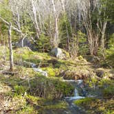 Review photo of Unknown Pond by Sarah C., June 2, 2020