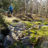 Review photo of Unknown Pond by Sarah C., June 2, 2020