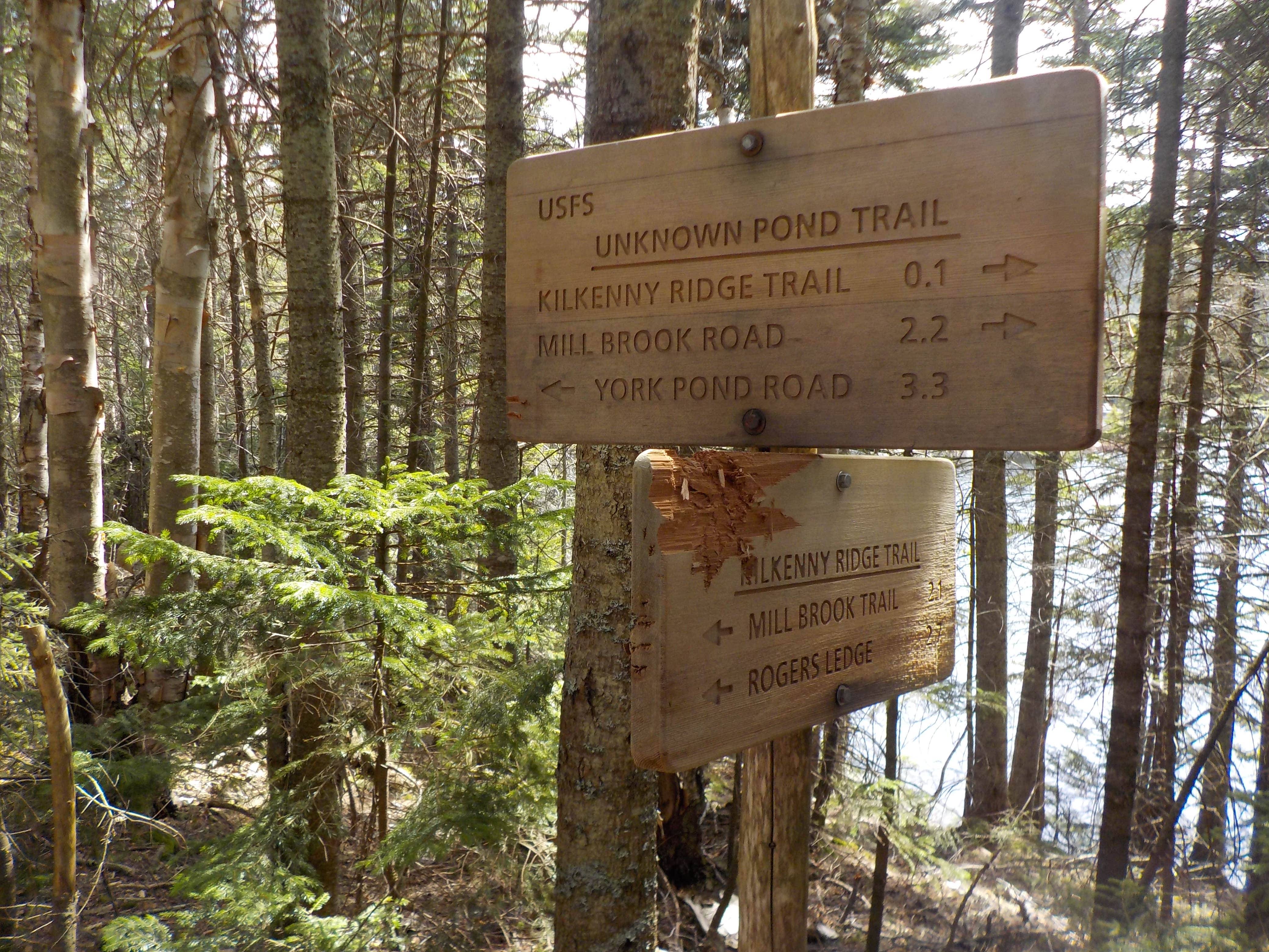 Camper-submitted photo at Unknown Pond near Island Pond, VT