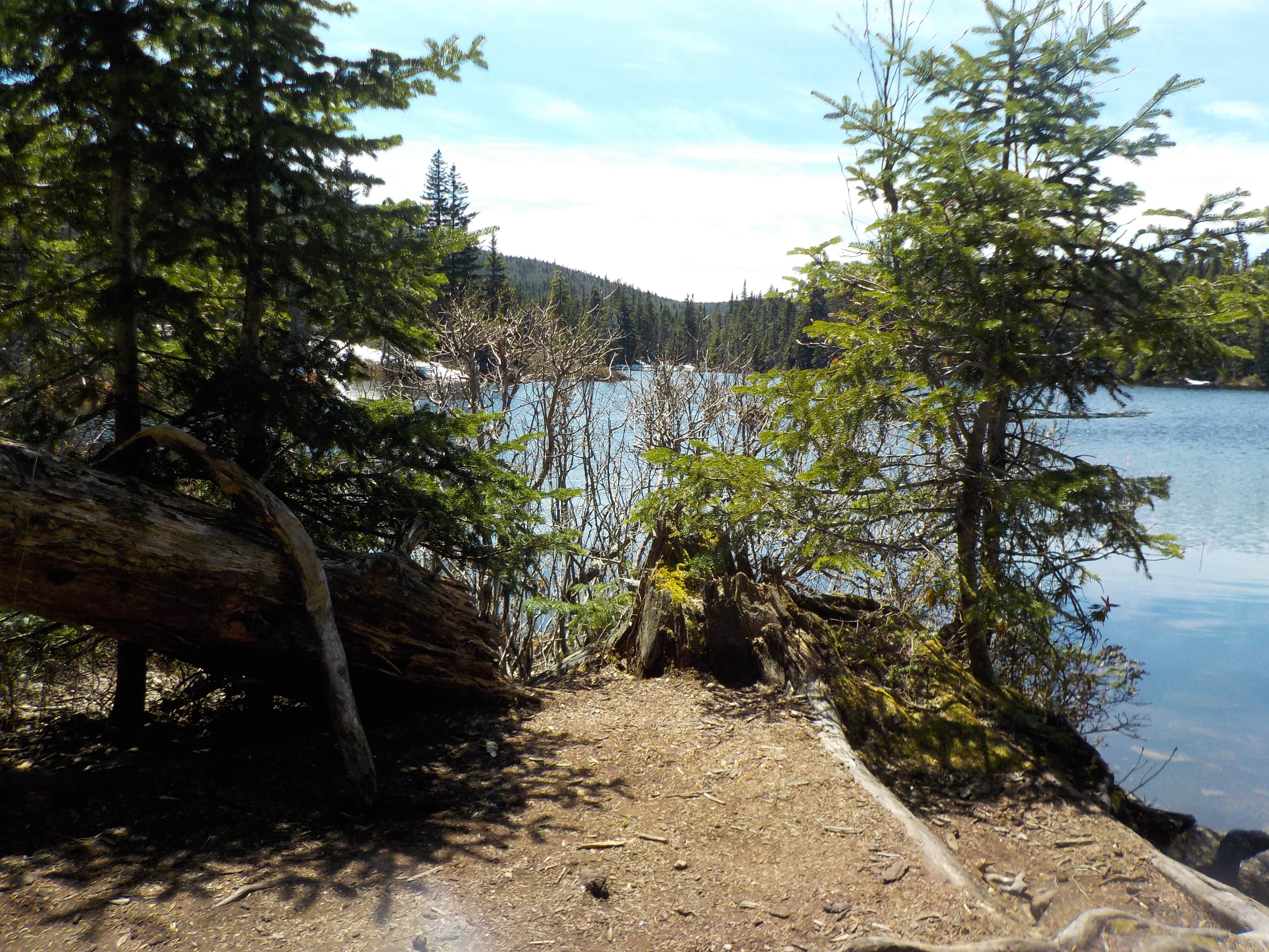 Camper-submitted photo at Unknown Pond near Island Pond, VT