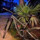Review photo of Pine Grove Campground — Jonathan Dickinson State Park by Rich S., June 2, 2020