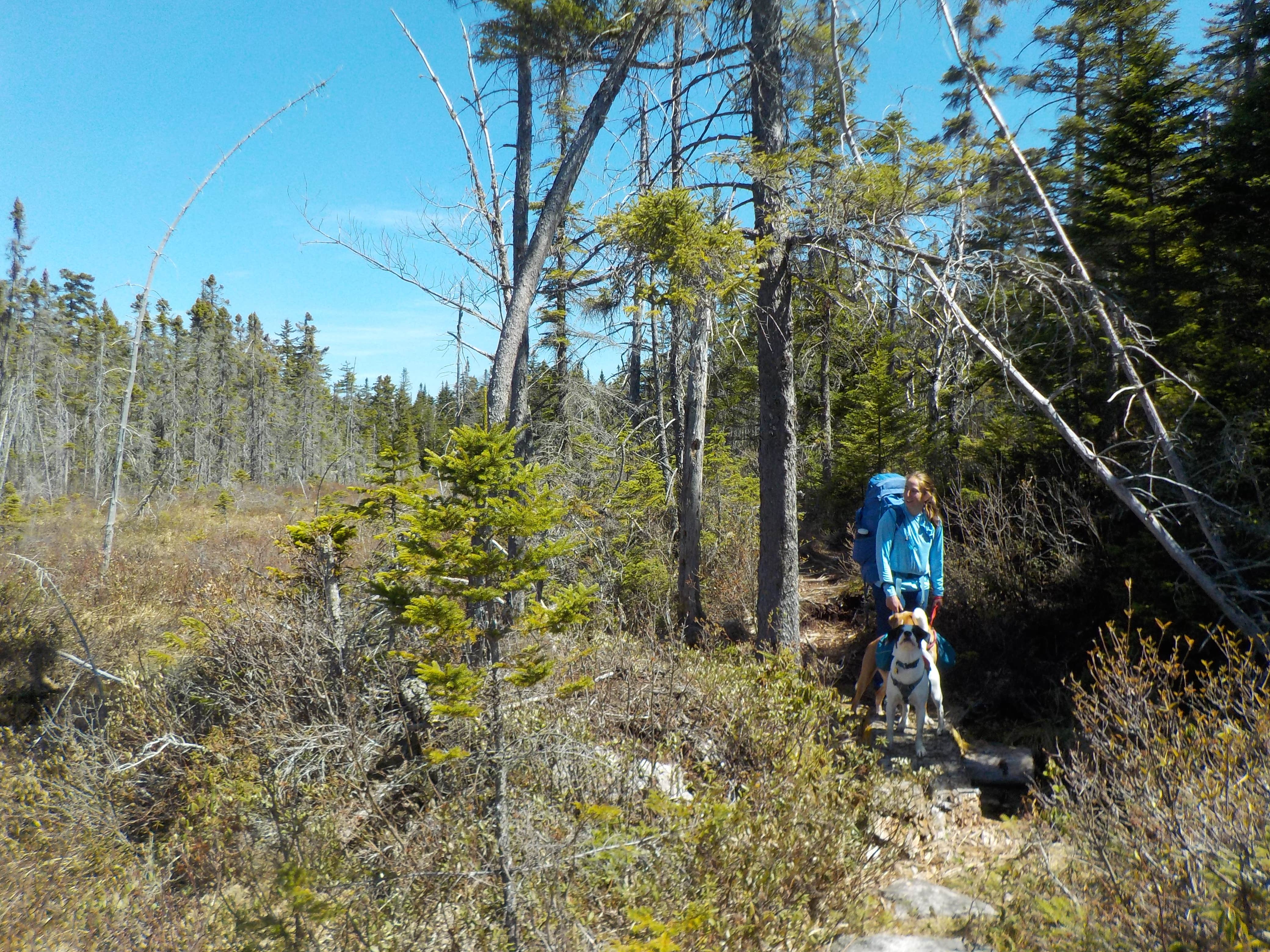 Camping near Riverside Camping & RV Resort: Unknown Pond, Stark, New Hampshire