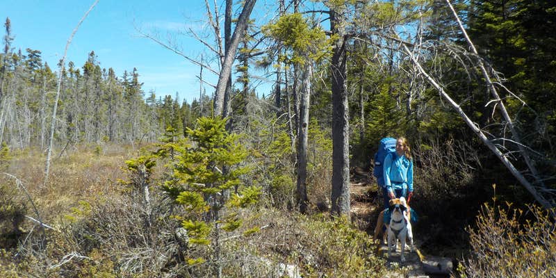 Camper submitted image from Unknown Pond