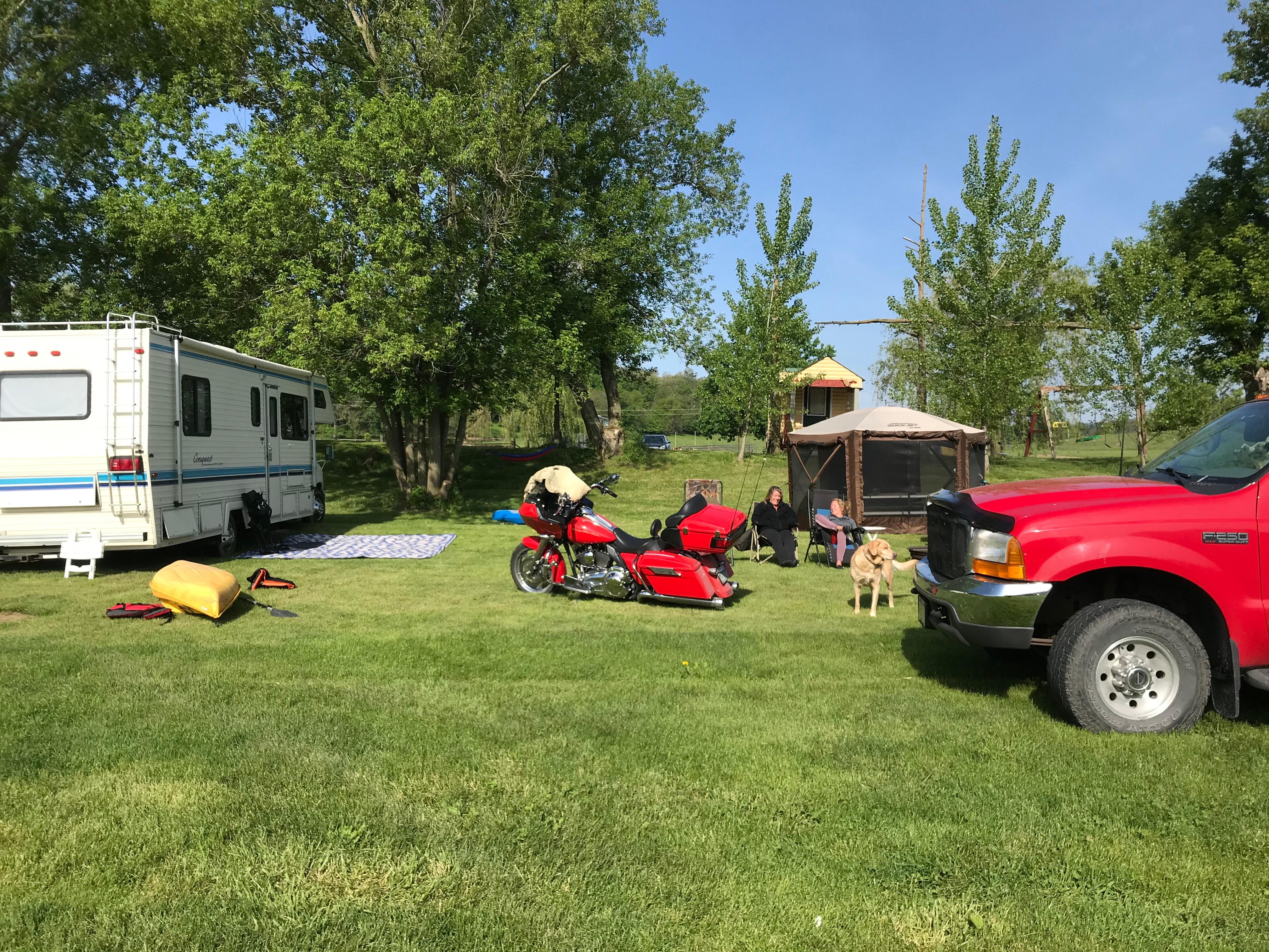 Camper submitted image from Hutchinson Family Farm Campground - 4