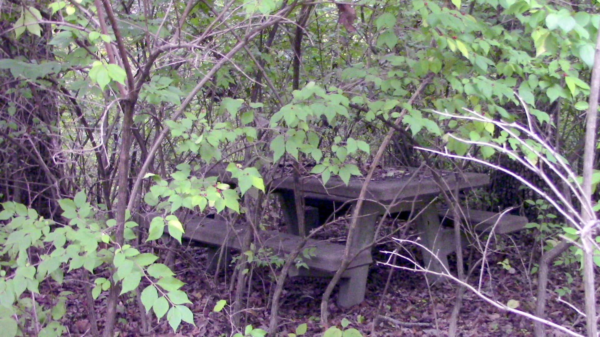 Camper-submitted photo at Whitley Creek - Lake Shelbyville near Sullivan, IL