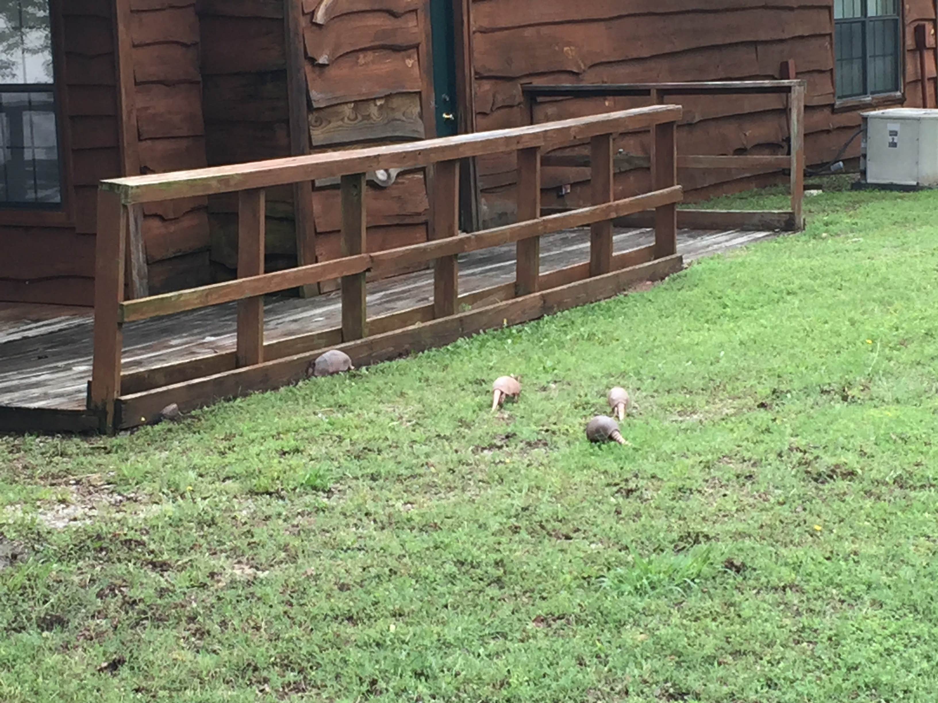 Camper-submitted photo at Hugo Lake Park near Atoka, OK