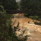 Review photo of Natural Falls State Park by Richard , April 25, 2020