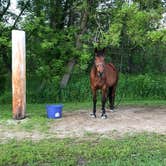 Review photo of Maple Springs Campground by Jen M., June 2, 2020