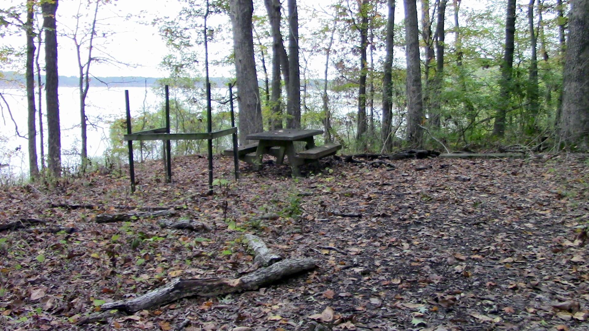 Camper-submitted photo at Whitley Creek - Lake Shelbyville near Sullivan, IL