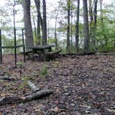 Review photo of Whitley Creek - Lake Shelbyville by Michael M., October 11, 2017