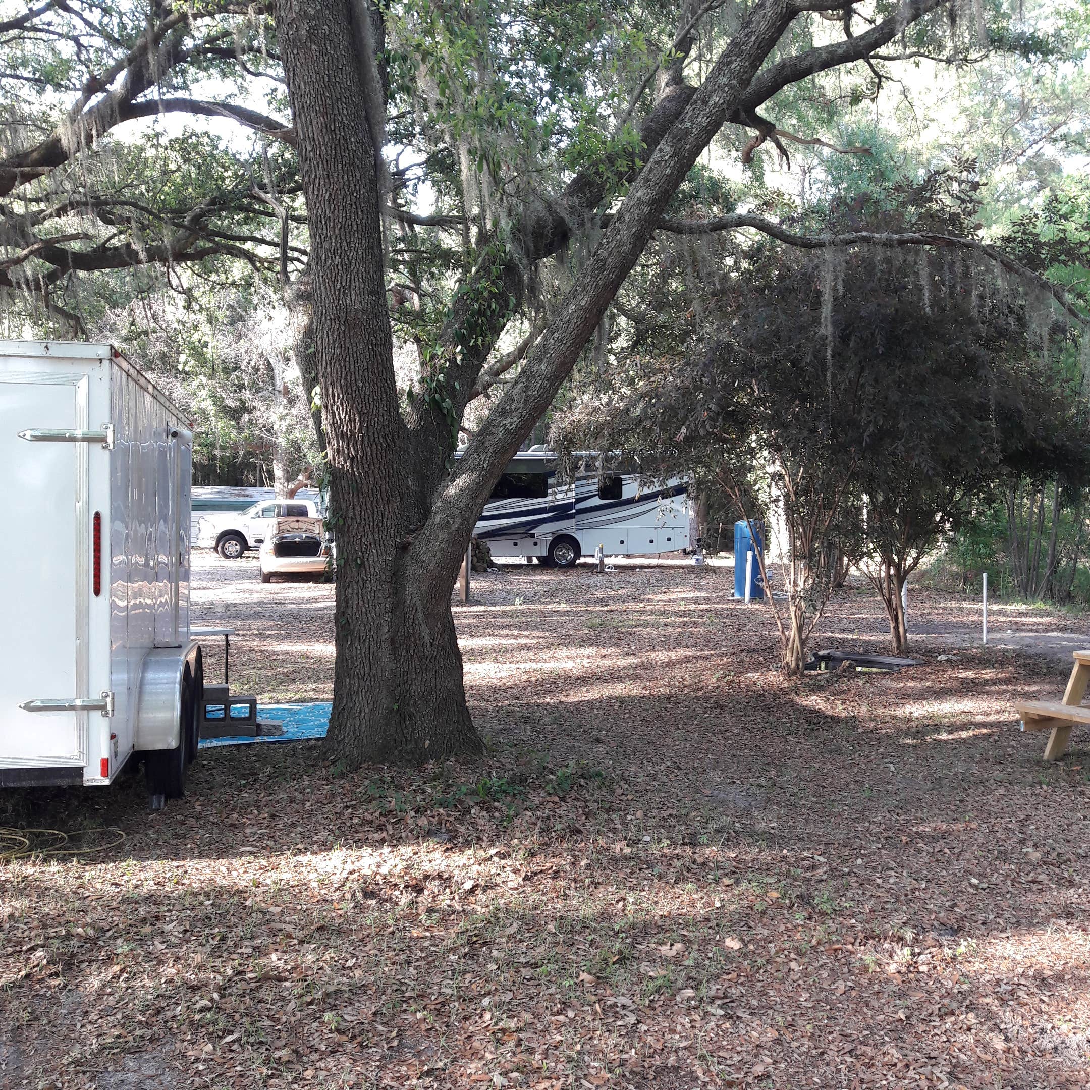 Camper submitted image from Stagecoach Junction Live Oak Private Campground - 2