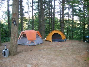 The Dyrt's photo at Cedar Pond Campground near Errol, NH