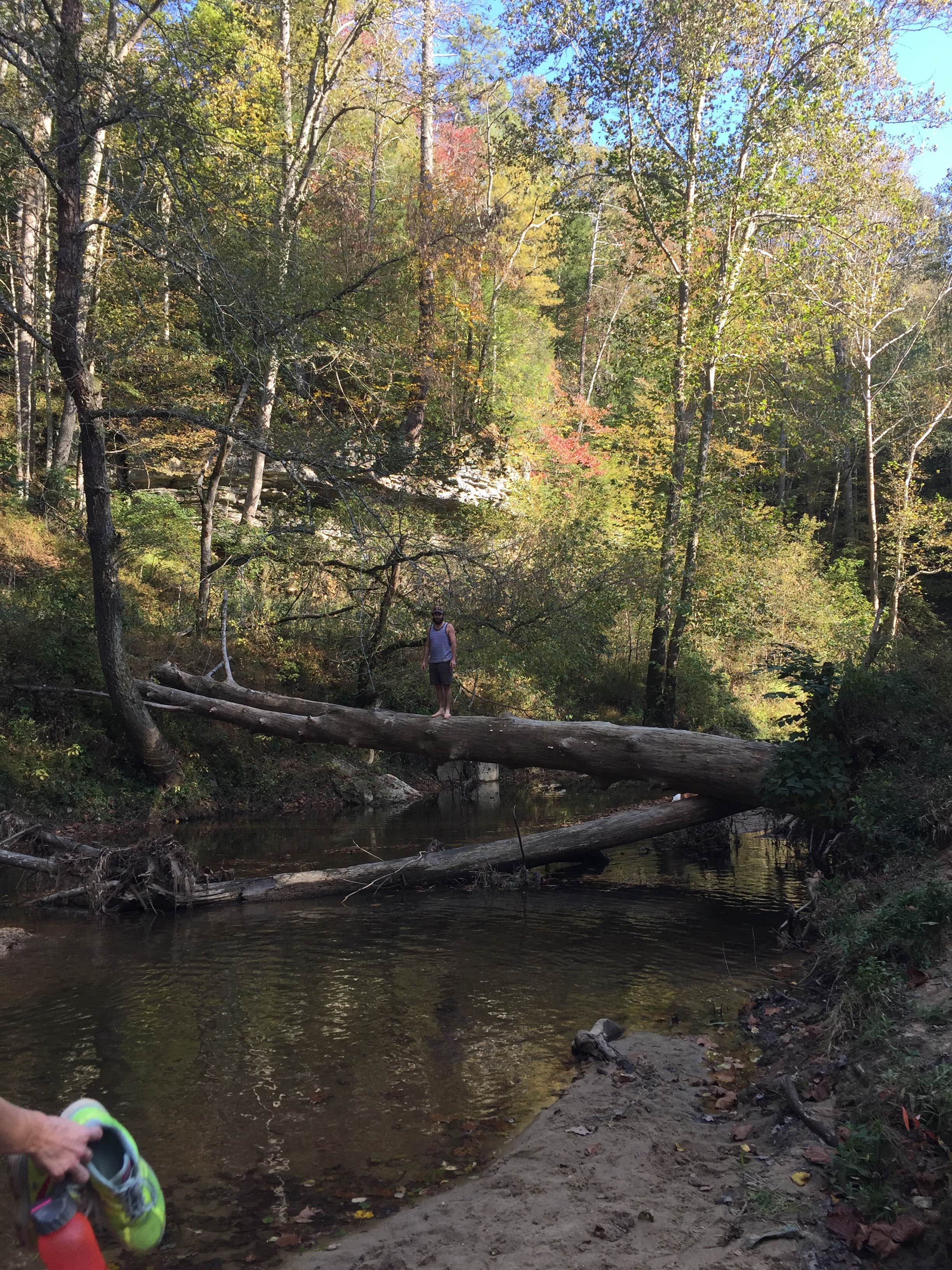 Camper-submitted photo at Koomer Ridge Campground — Daniel Boone National Forest in Kentucky