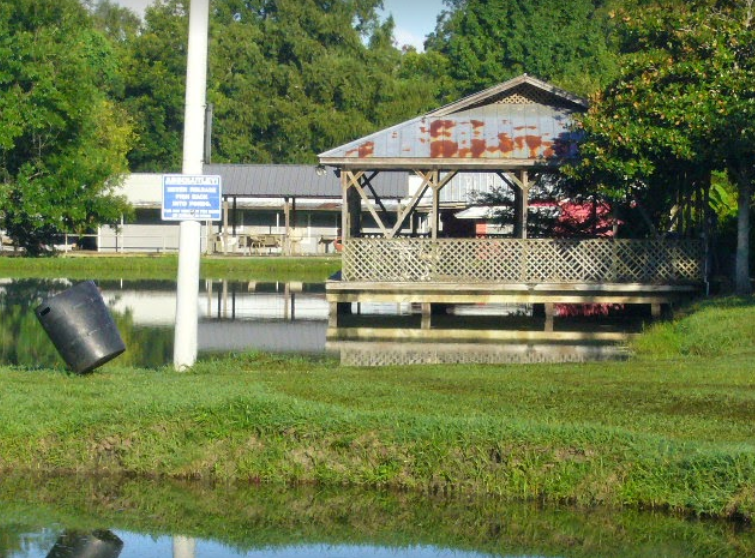 Camper-submitted photo at Catfish Heaven Aqua Farm & RV Park near Eunice, LA