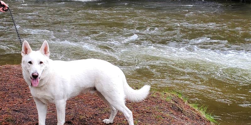 Camper submitted image from Indian Creek Campground — Priest Lake State Park