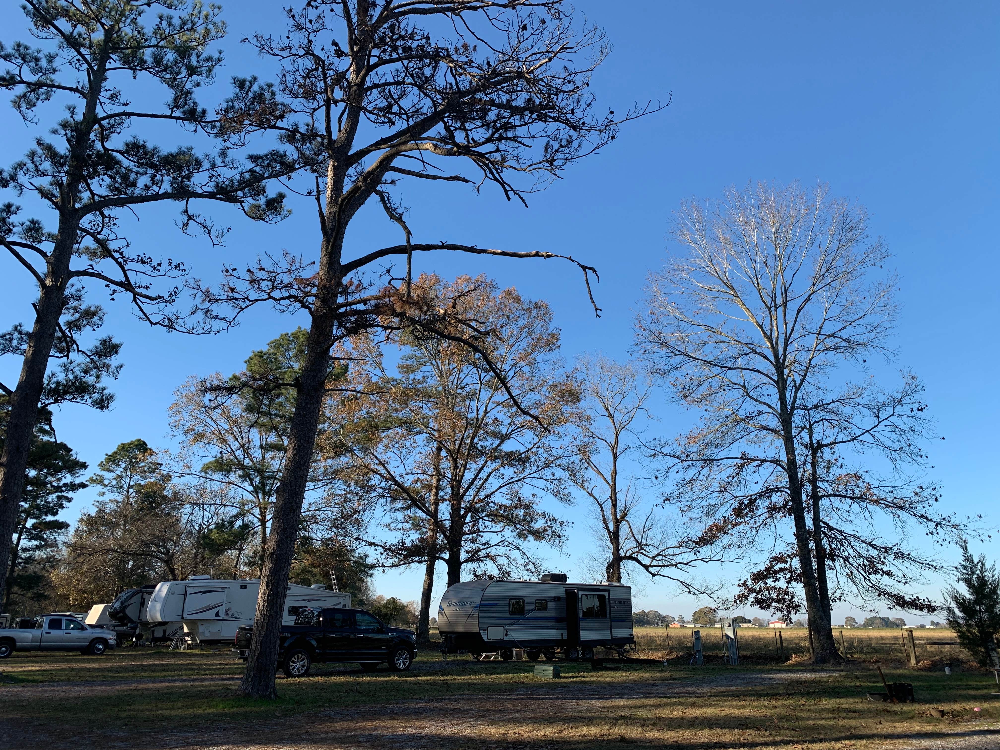 Camper-submitted photo at Lakeview Park near Lecompte, LA
