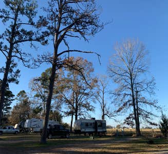Camper-submitted photo from Poche's RV Park & Fish-N-Camp