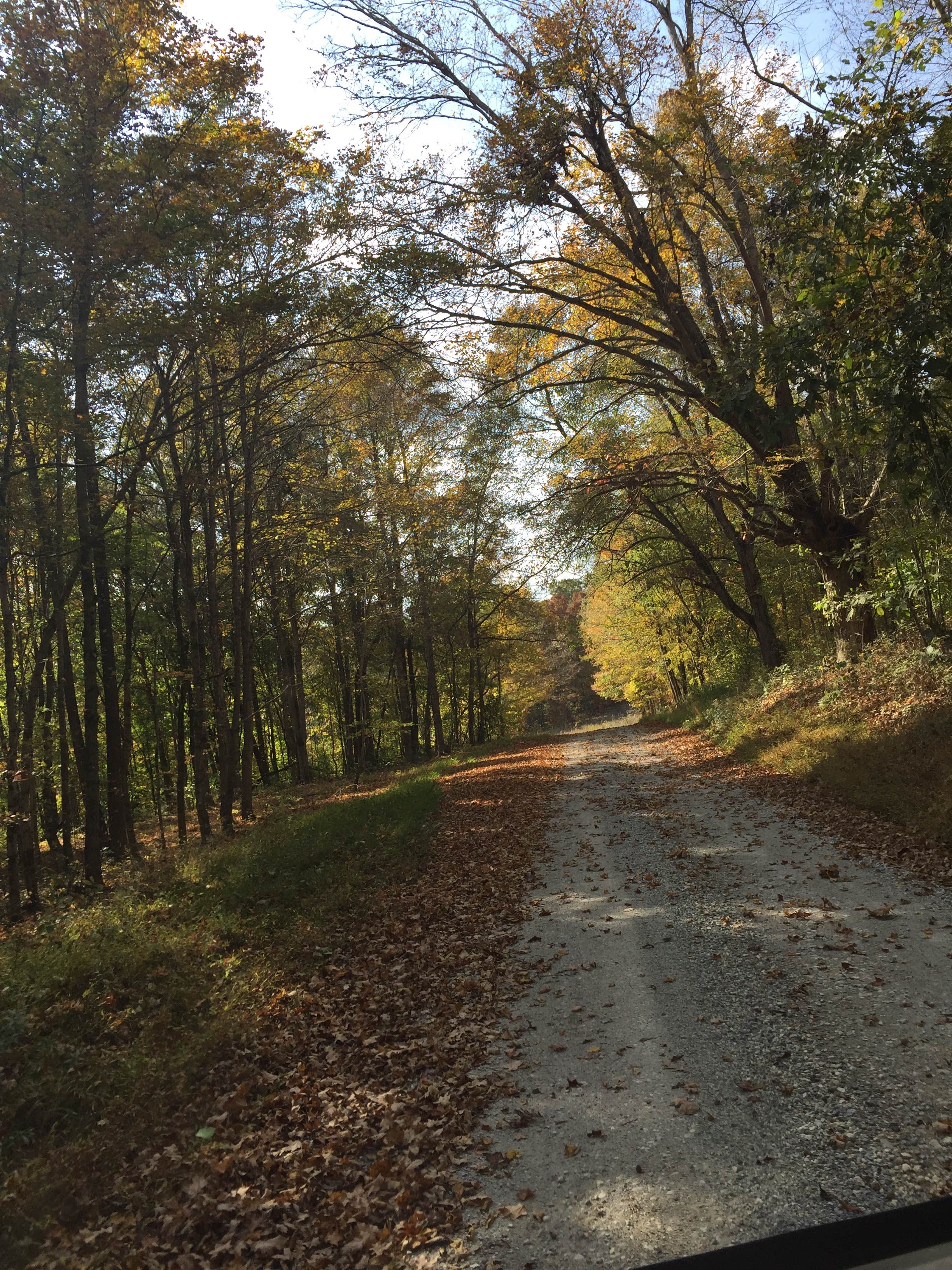 Camper submitted image from Boswell Landing Campground - 3