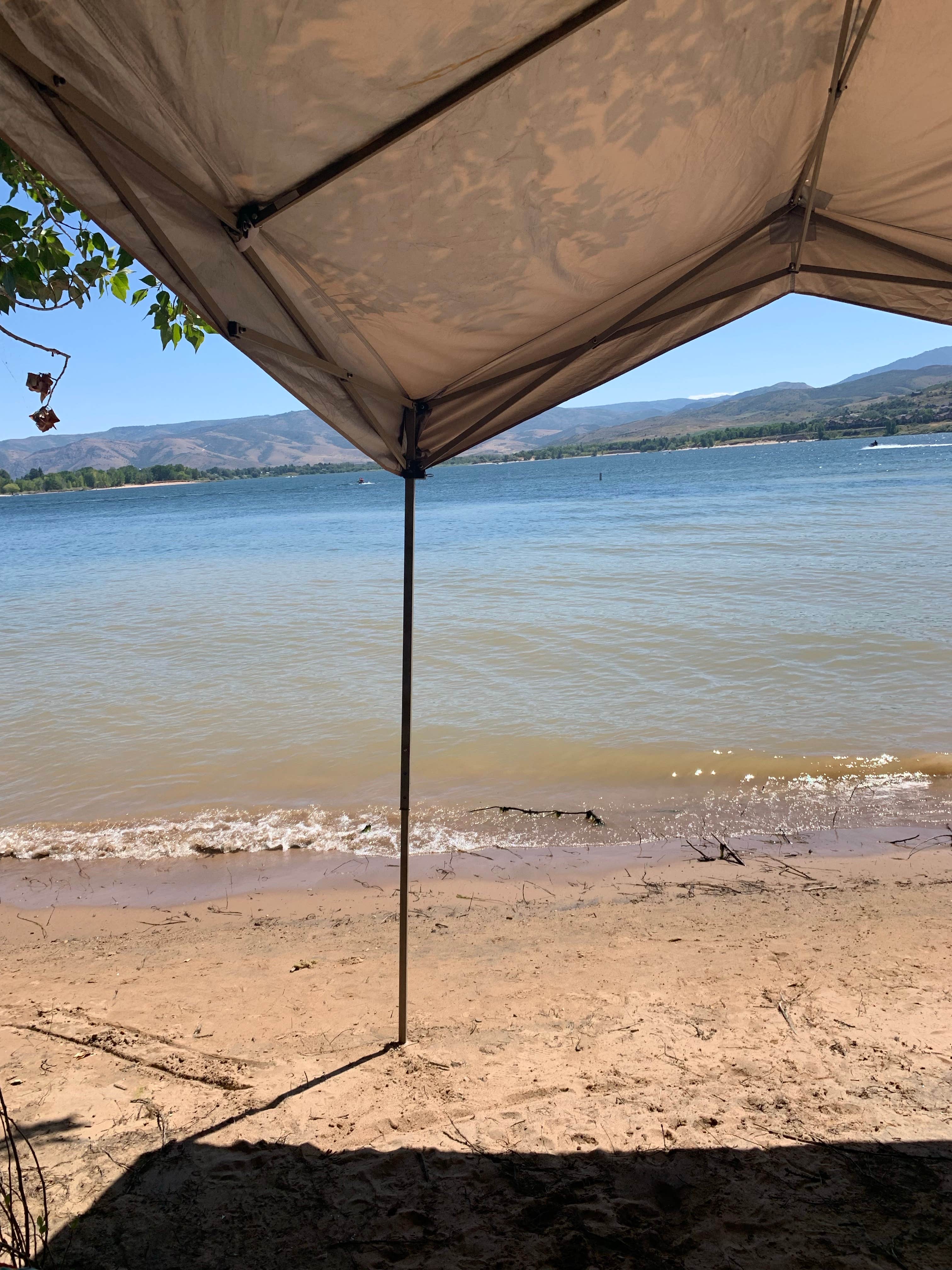 Camper submitted image from Willows Campground - 5