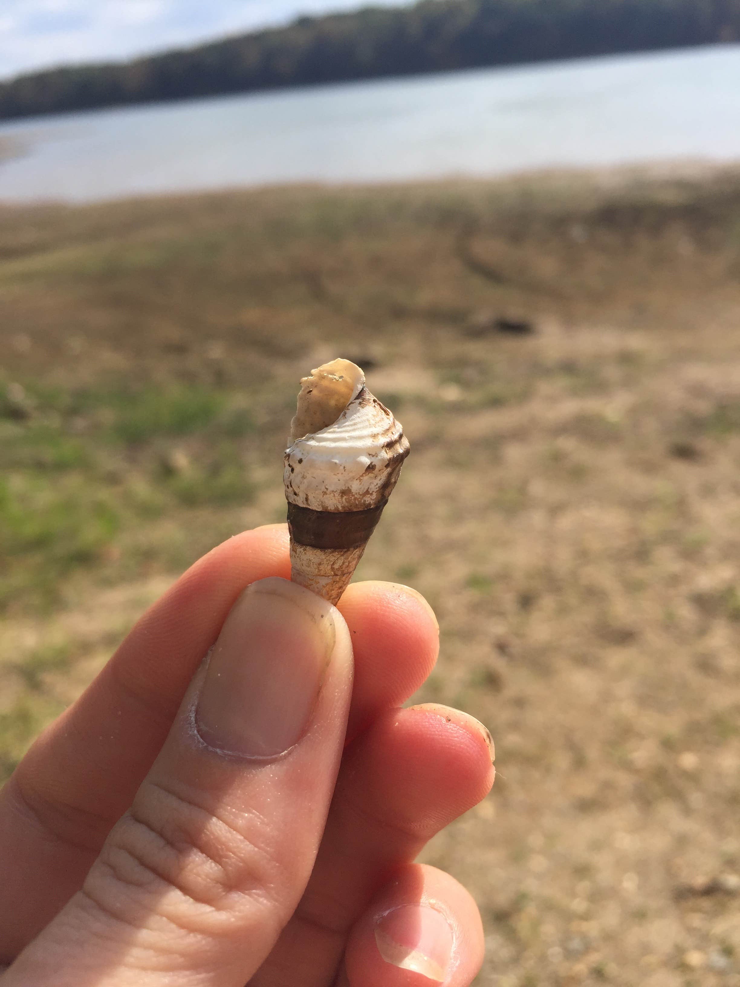 Camper submitted image from Boswell Landing Campground - 4
