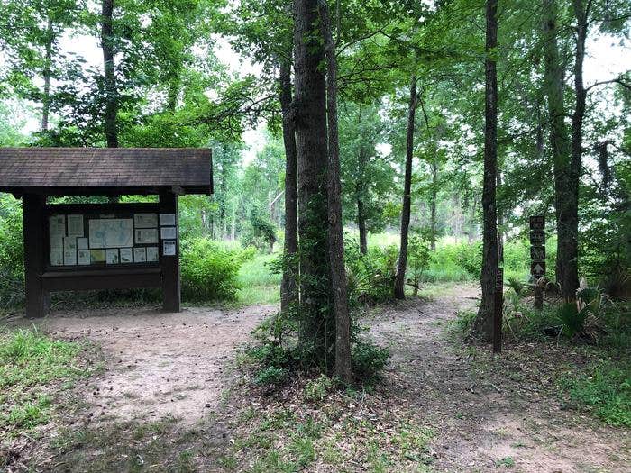 John's point trailhead



Neat trail by the water

Credit: USFS