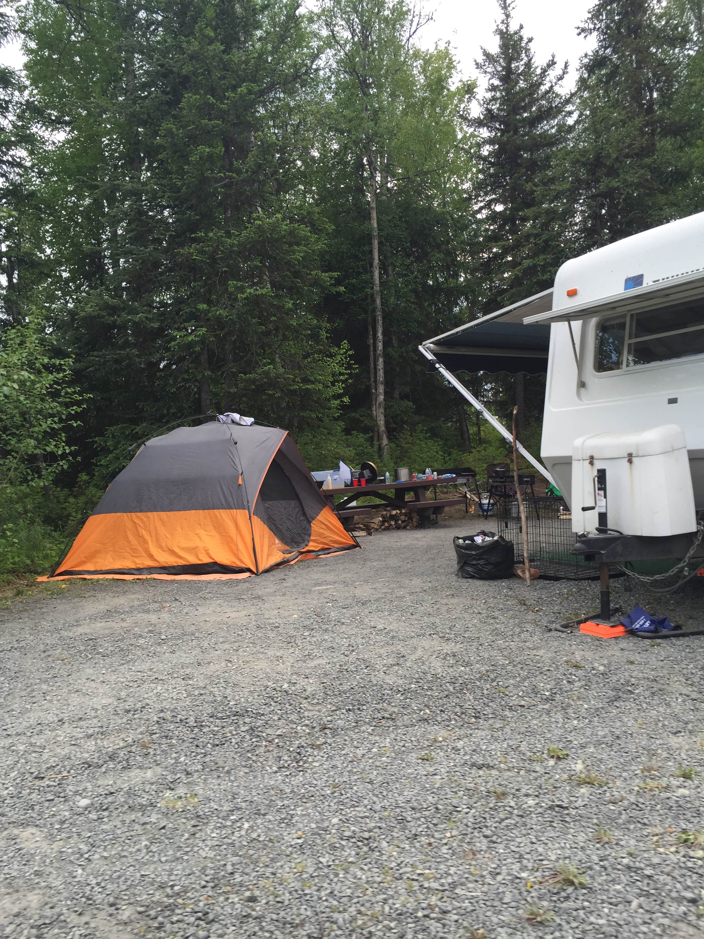 Kristin Y.'s photo at Trail River near Moose Pass, AK
