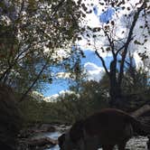 Review photo of Wellington Lake East Rec Area by Daniel S., October 12, 2017