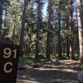 Review photo of Tuolumne Meadows Campground — Yosemite National Park by Daniel S., October 13, 2017