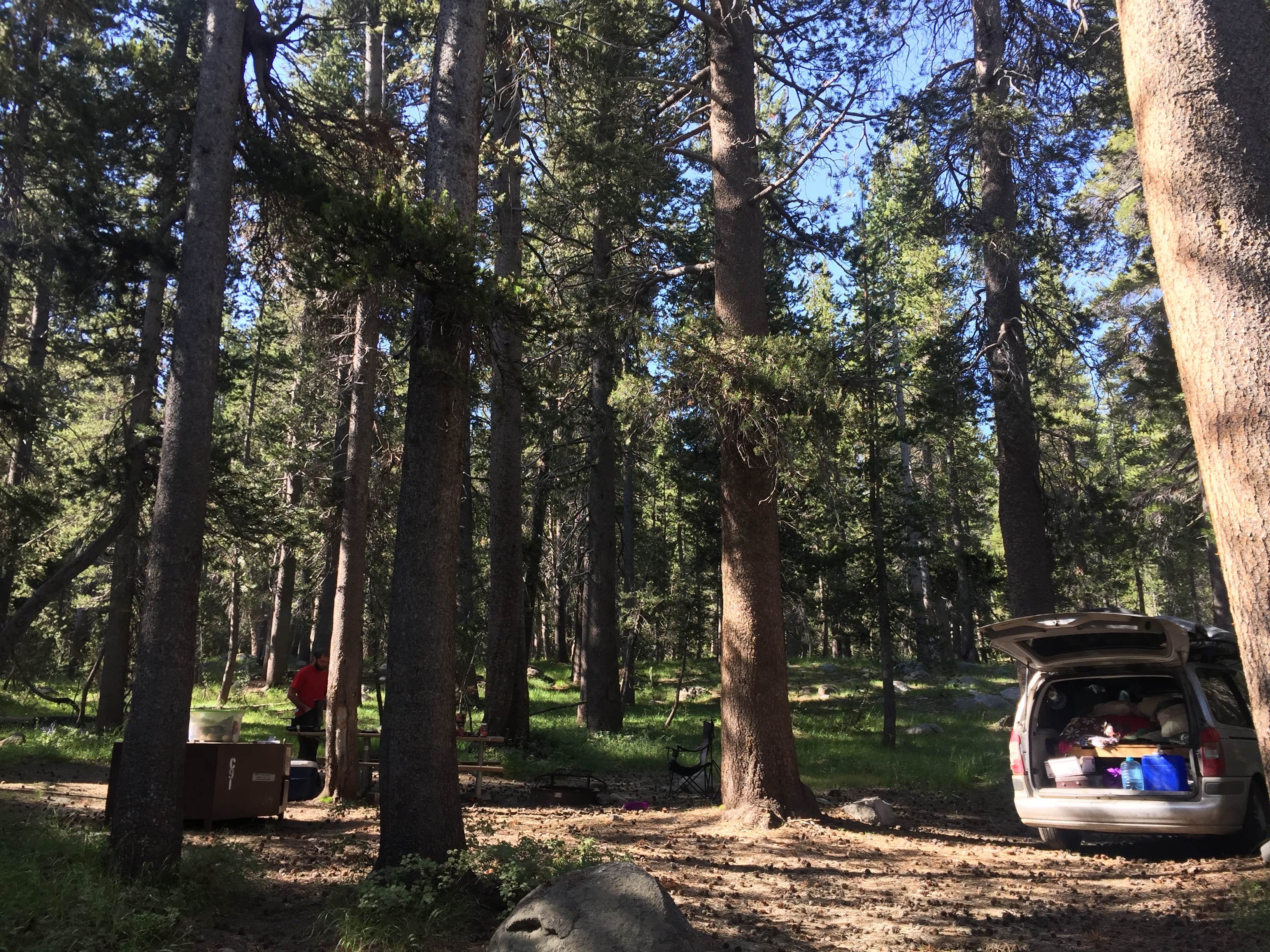 Daniel S.'s photo of rv camping at Tuolumne Meadows Campground — Yosemite National Park near Lee Vining, CA