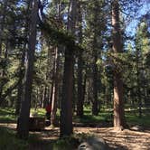 Review photo of Tuolumne Meadows Campground — Yosemite National Park by Daniel S., October 13, 2017