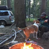 Review photo of Tuolumne Meadows Campground — Yosemite National Park by Daniel S., October 13, 2017