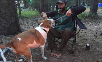 Daniel S.'s photo of camping with pets at Tuolumne Meadows Campground — Yosemite National Park near Bridgeport, CA