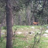 Review photo of Tuolumne Meadows Campground — Yosemite National Park by Daniel S., October 13, 2017