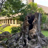 Review photo of Indian Springs State Park Campground by Liz H., June 3, 2020