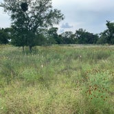 Review photo of Muleshoe Bend Recreation Area by Tim W., June 3, 2020
