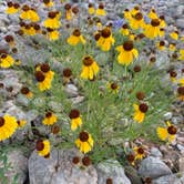 Review photo of Muleshoe Bend Recreation Area by Tim W., June 3, 2020