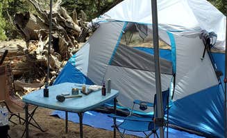 BLAKE B.'s photo at Santa Rosa Yellow Post Sites near La Quinta, CA