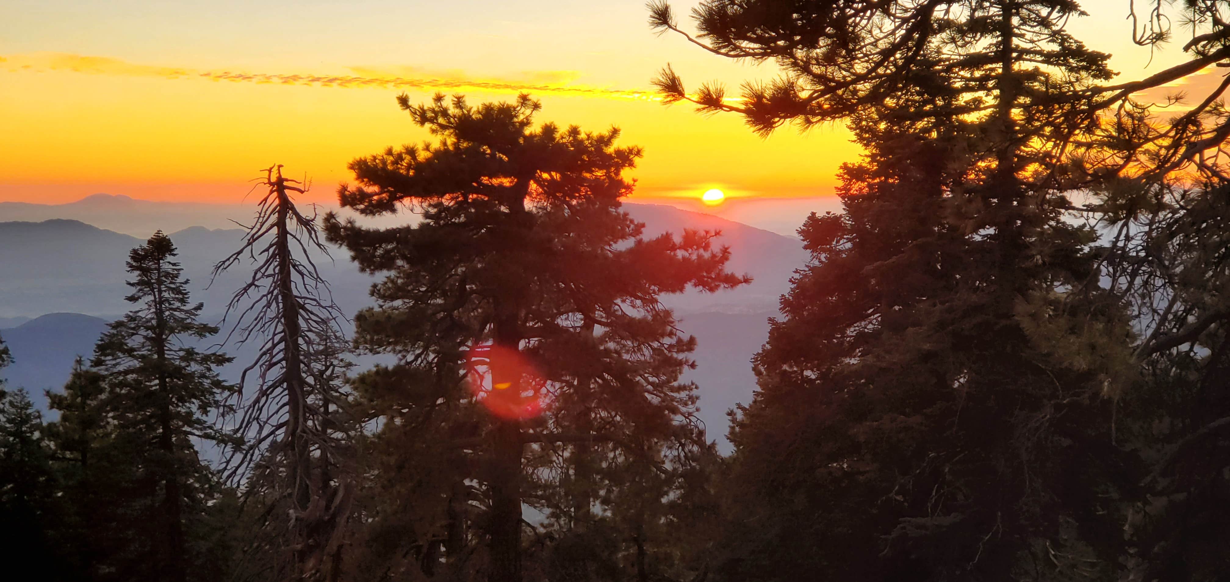 Santa Rosa Yellow Post Sites